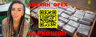apvp Бийск