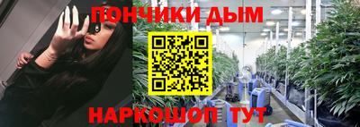 apvp Бийск
