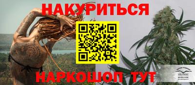 apvp Бийск
