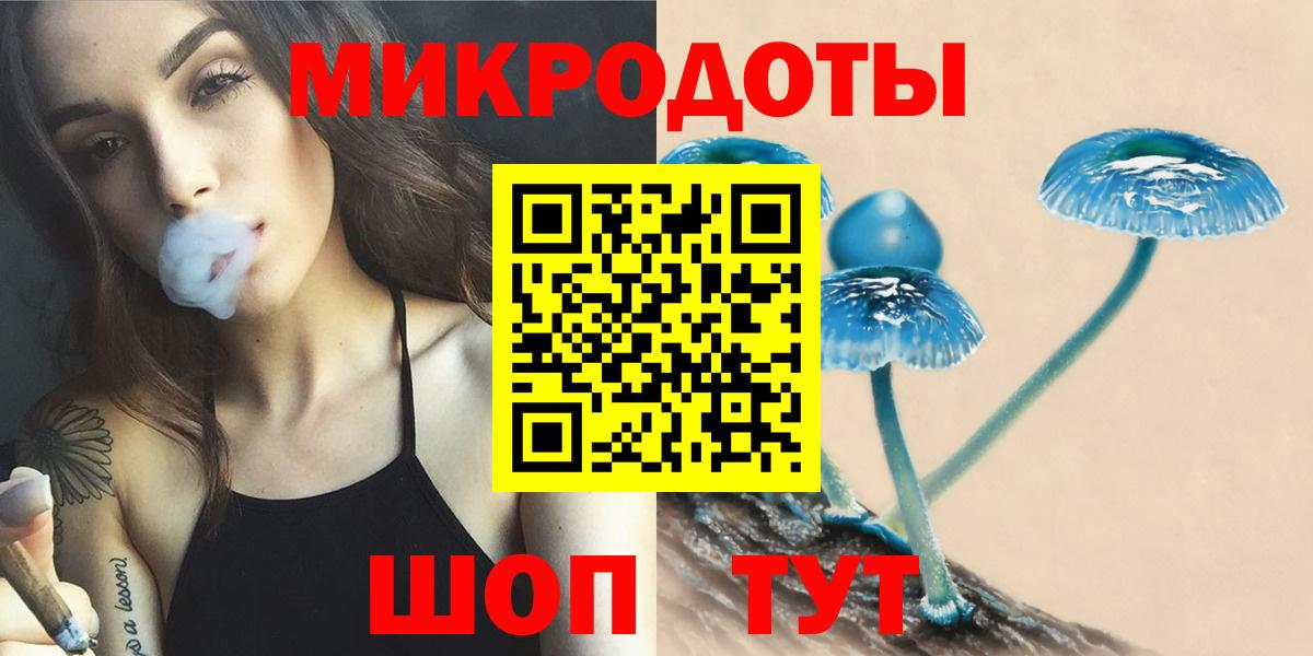 закладки  Галлюциногенные грибы Psilocybe  Вход с VPN  Кинель  Псилоцибиновые грибы мухоморы 